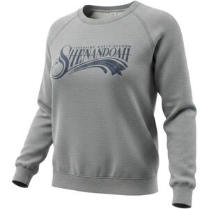 Alternative Apparel Shenandoah Marty Raybon Band Sweatshirt Gray Large